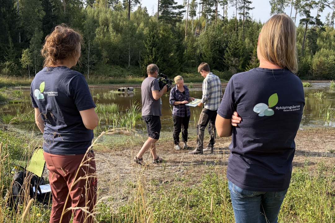 Personer skapar film vid våtmark