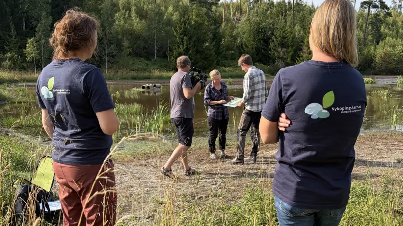 Personer skapar film vid våtmark