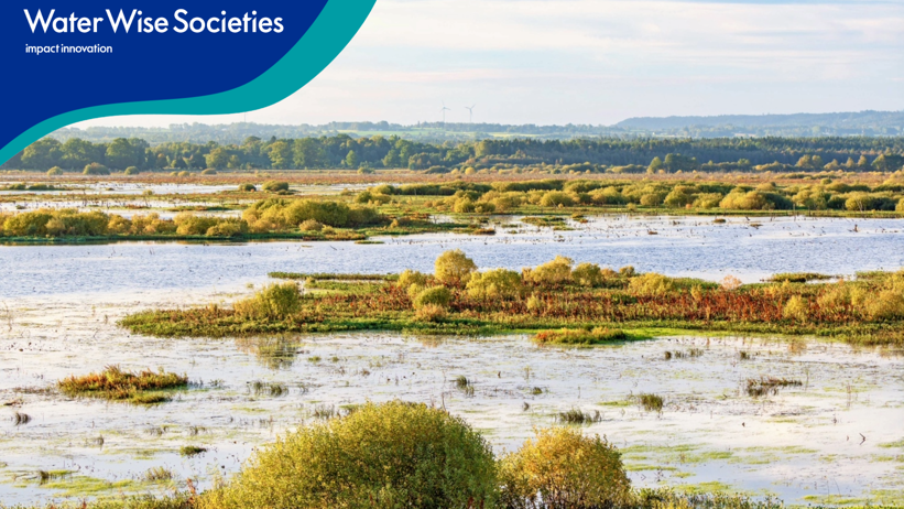 En våtmark. Logga uppe till vänster med texten "Water Wise Societies"