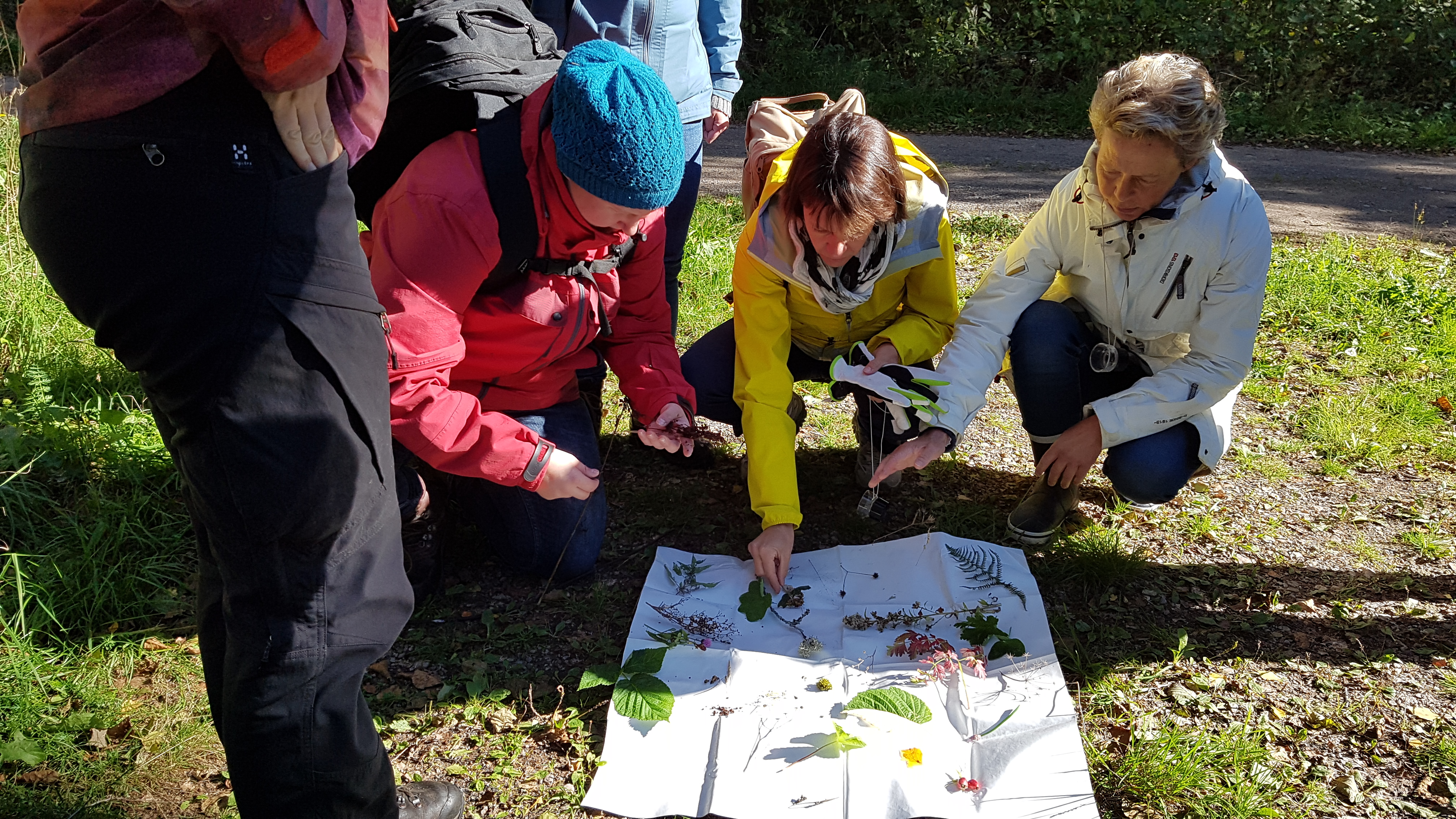 Personer tittar sak på marken