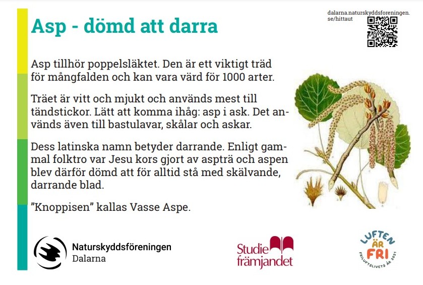 En skylt om asp