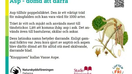 En skylt om asp