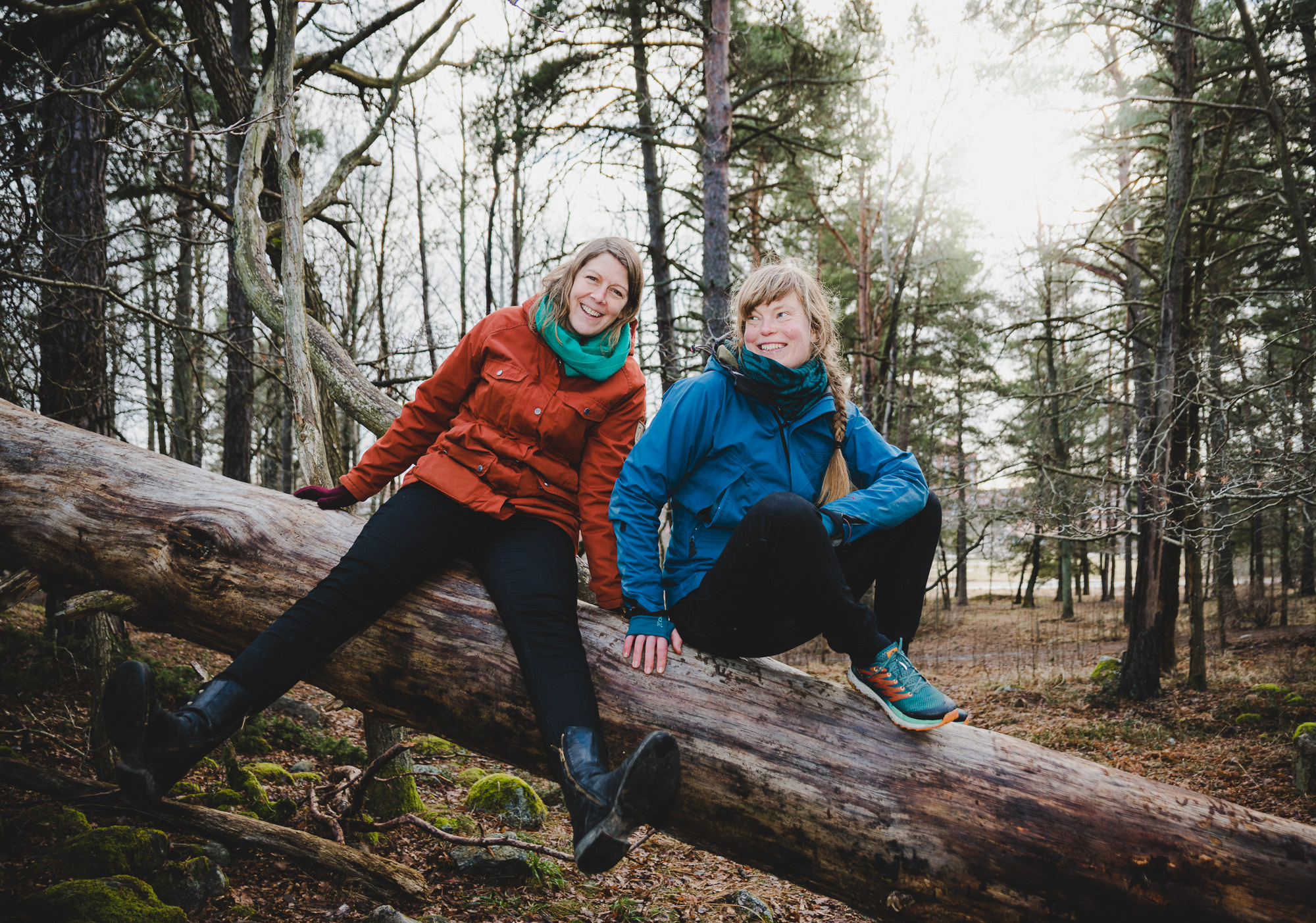 Två kvinnor sitter på ett lutande träd