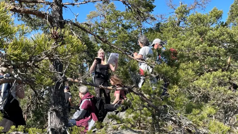 En guidning med Martina Kiibus