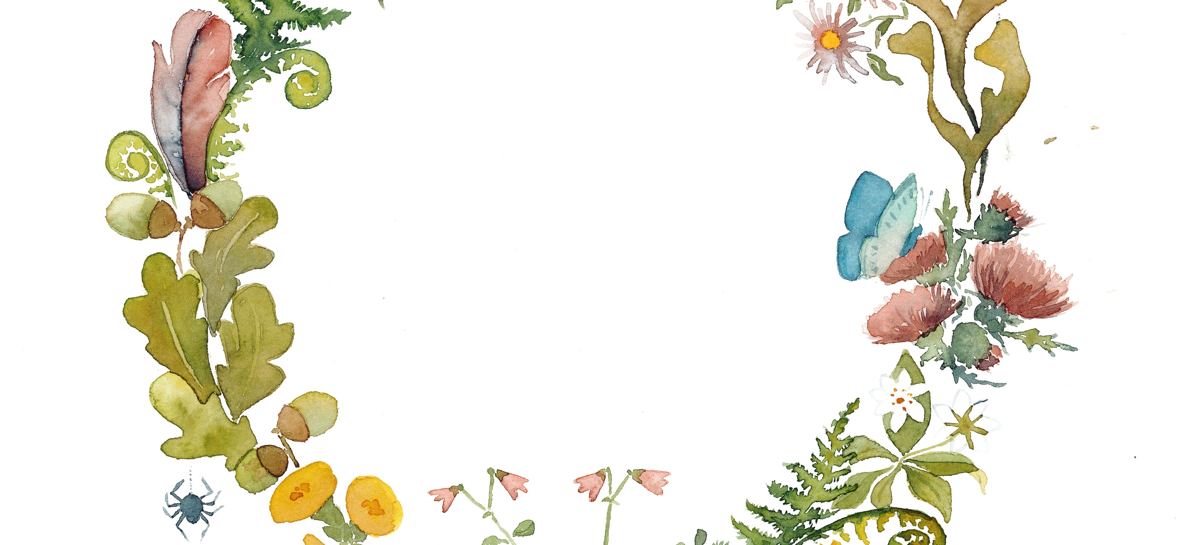 Krans till Årets naturvägledning