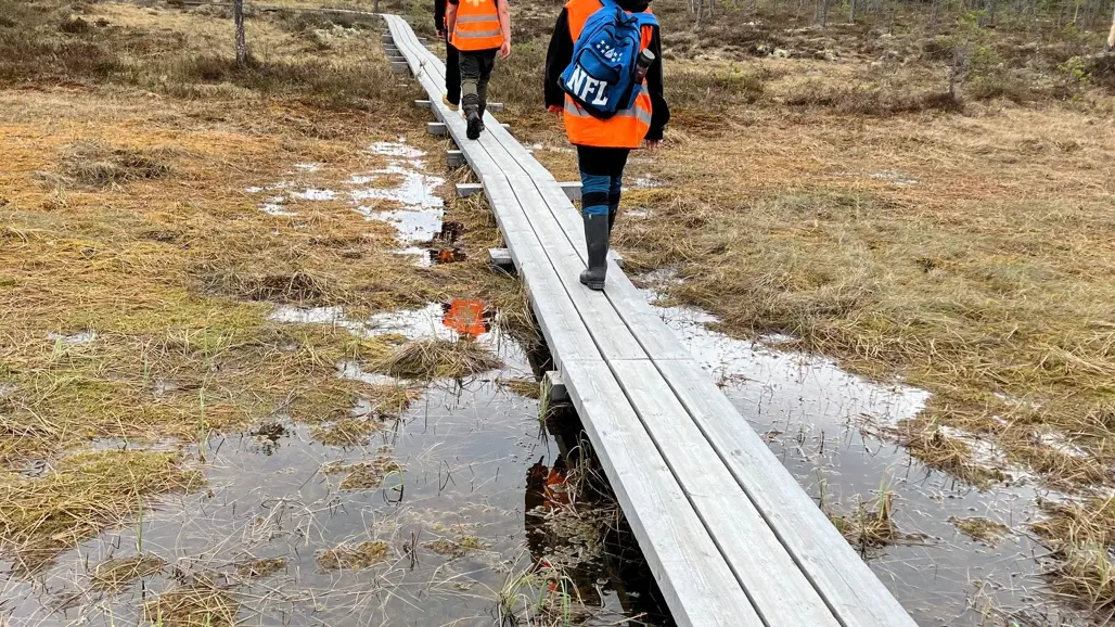 Engagerade elever från Los skola guidar både andra elever och allmänheten i Hamra nationalpark.