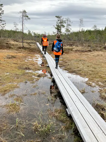 Engagerade elever från Los skola guidar både andra elever och allmänheten i Hamra nationalpark.
