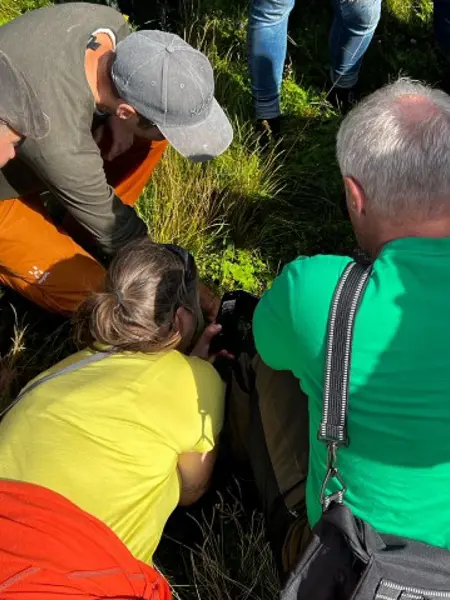 Personer tittar på naturen