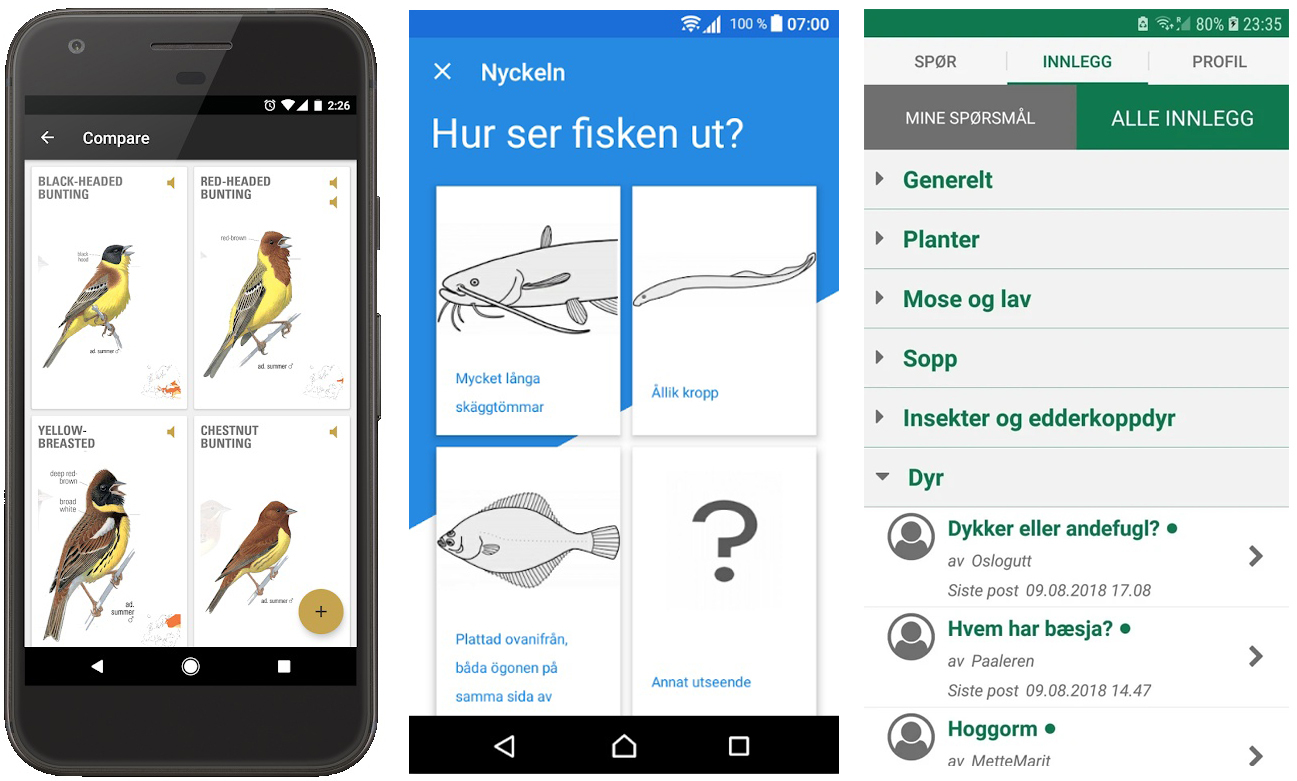 Skärmbilder från apparna Fågelguiden, Ficknyckeln och Spør en biolog