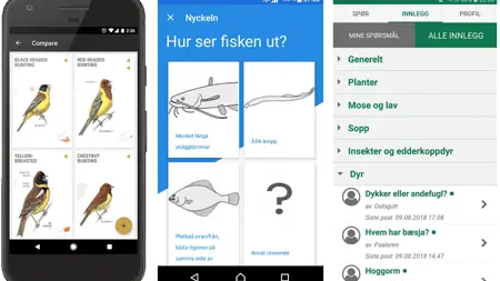 Skärmbilder från apparna Fågelguiden, Ficknyckeln och Spør en biolog