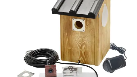 Fågelholk med miniatyrkamera med bildöverföring via kabel. Foto: Green-Backyard