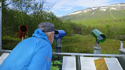 Person kikar i ett rör på naturen
