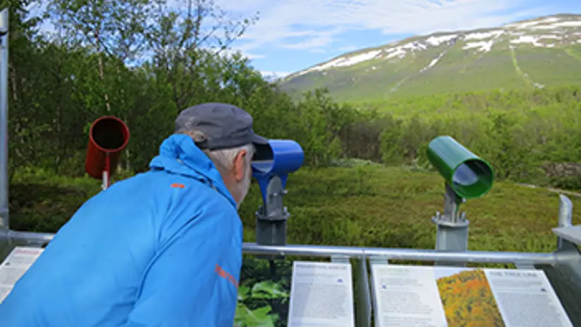Person kikar i ett rör på naturen