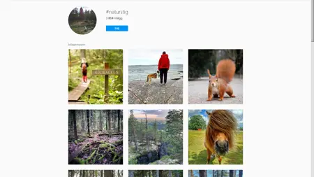 Samling av bilder på Instagram