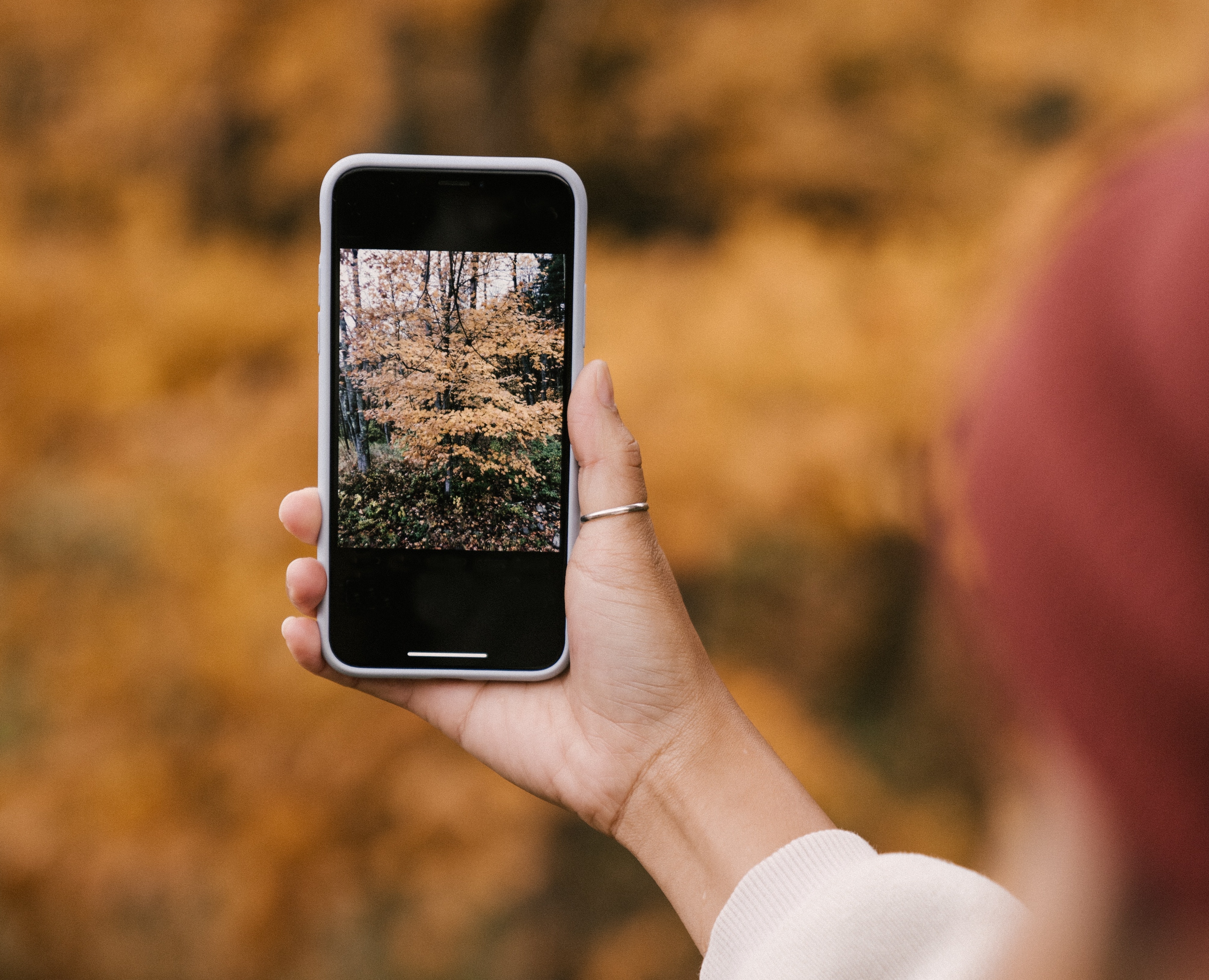 Person som fotograferar träd med en smarttelefon. 