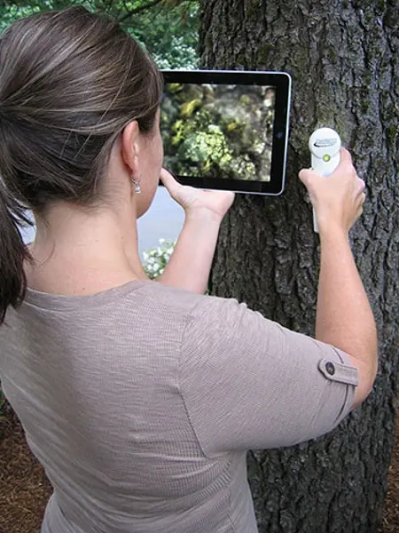 Person som använder trådlöst mikroskop och surfplatta.
