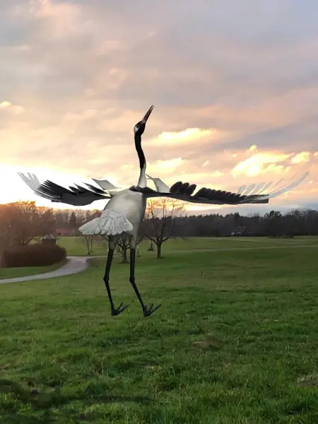 Virtuell trana dansar i landskapet i AR-appen ”Silurus”.