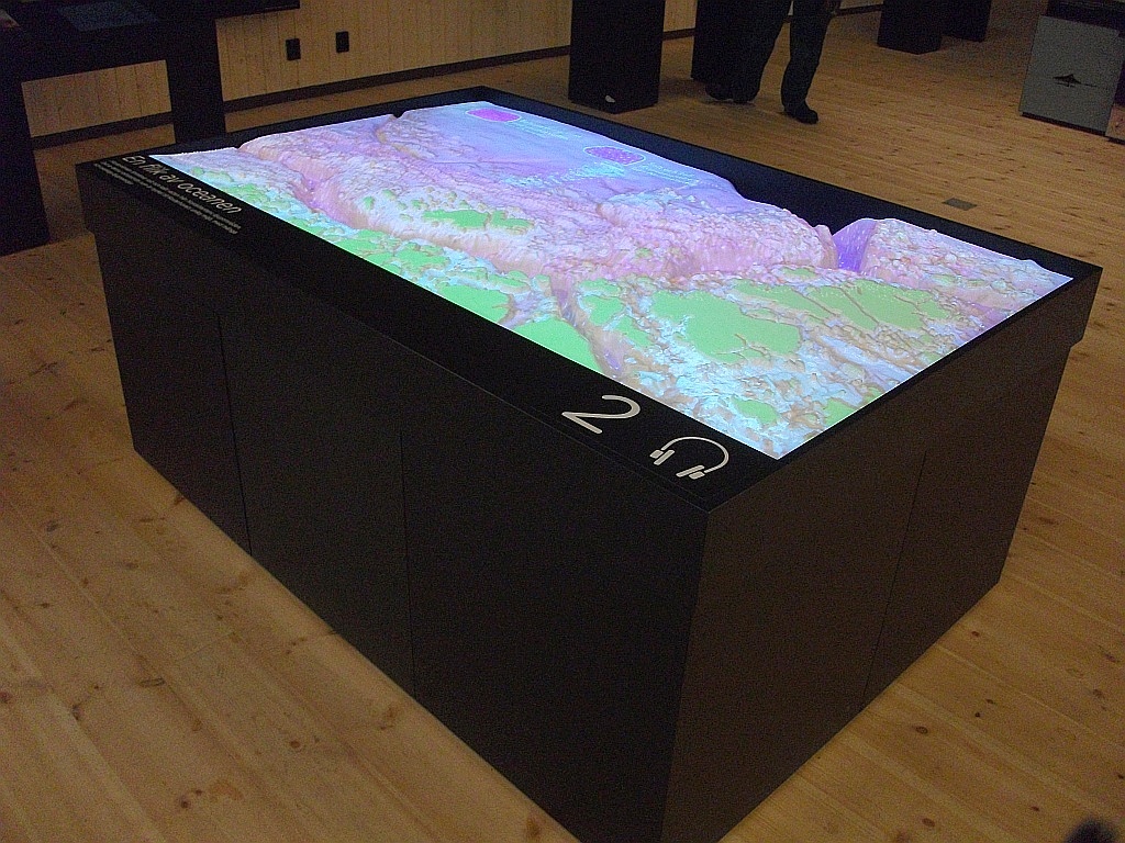 Taktil kartbildsprojektion