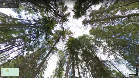 Tivedens nationalpark, virtuell naturstig i 360°