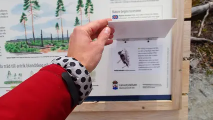 Hand som lyfter på lock på skylt