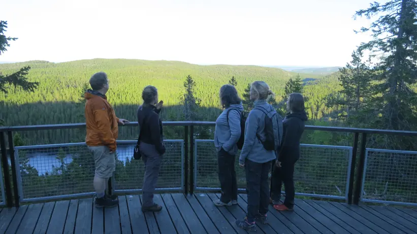 Personer vid utsiktsplats i skog
