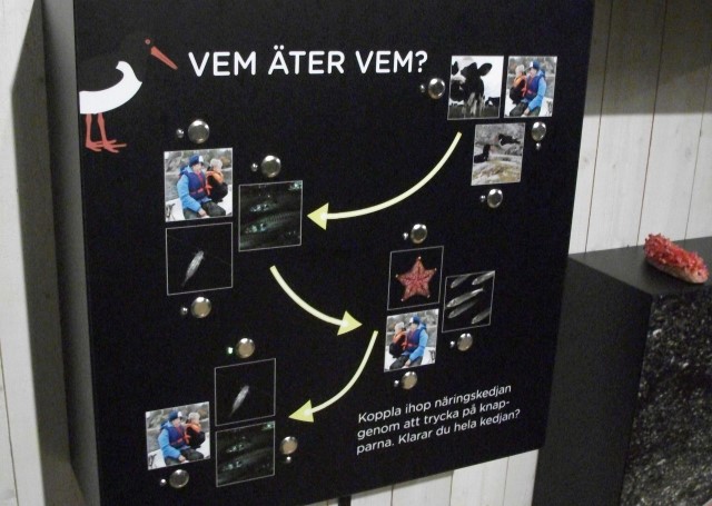 Hur upplevs en interaktiv station i utställningen?