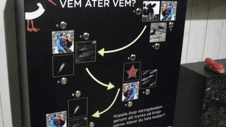 Hur upplevs en interaktiv station i utställningen?