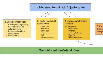Översikt över de rekommenderade stegen för att planera naturvägledning.