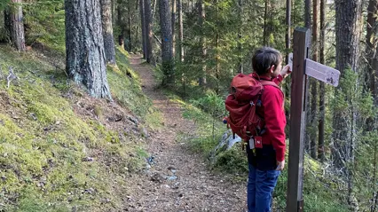 Pojke tittar på skylt i skog