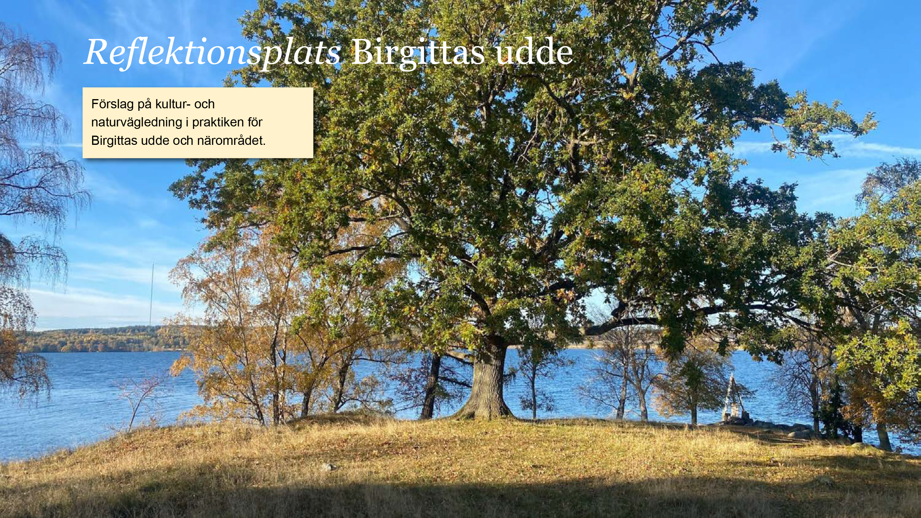 Sol och ett stort träd. Textruta och rubrik.