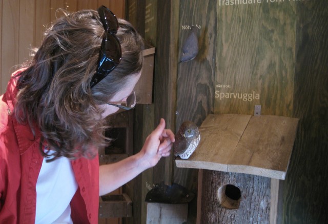 Besökare i utställning