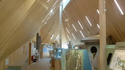 Del av utställning på naturum Tåkern