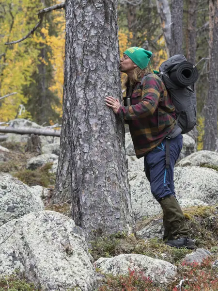 En man och ett träd