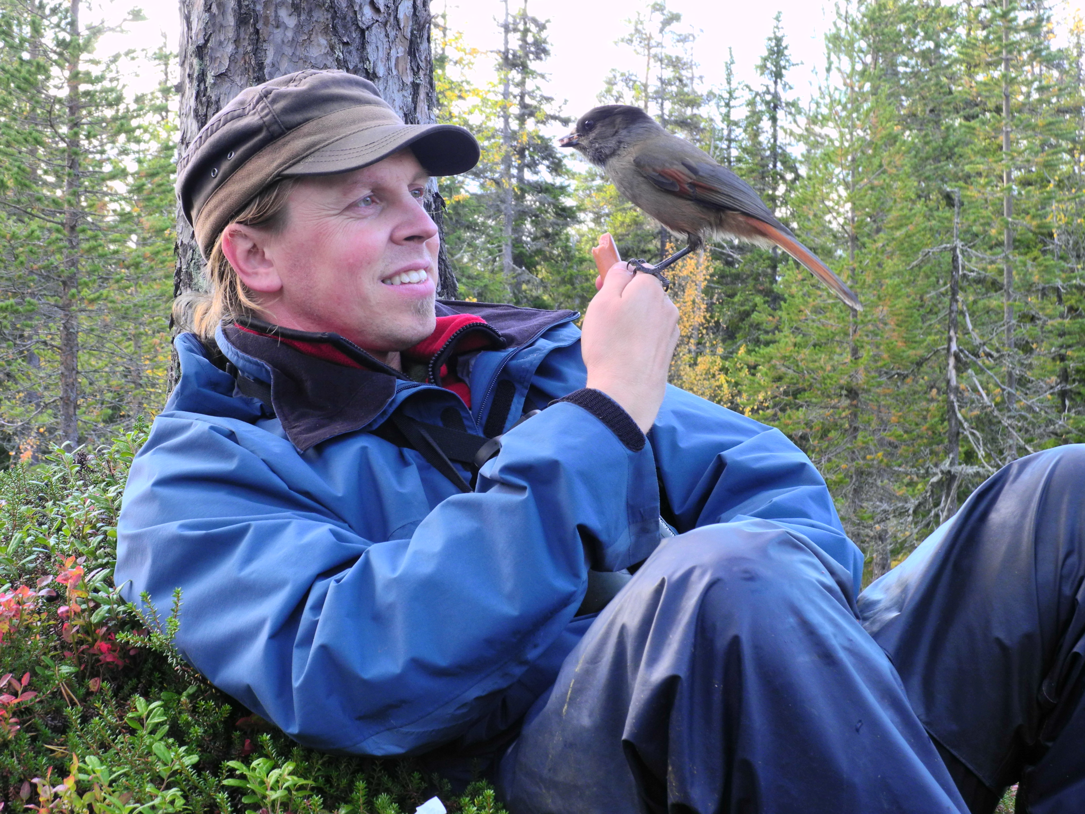 En man och en lavskrika