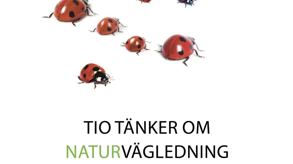 Framsida på skriften Tio tänker om naturvägledning