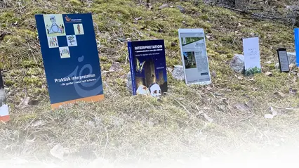 Flera publikationer på rad på marken i en skog