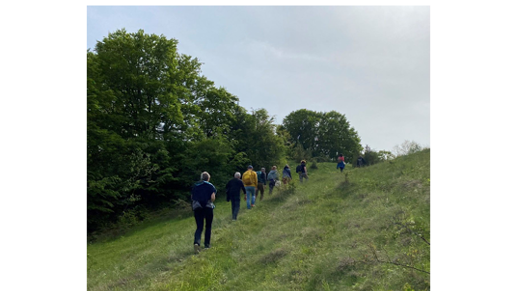 Framsida på rapporten Att kommunicera natur och kulturarv längs pilgrimsleder.png