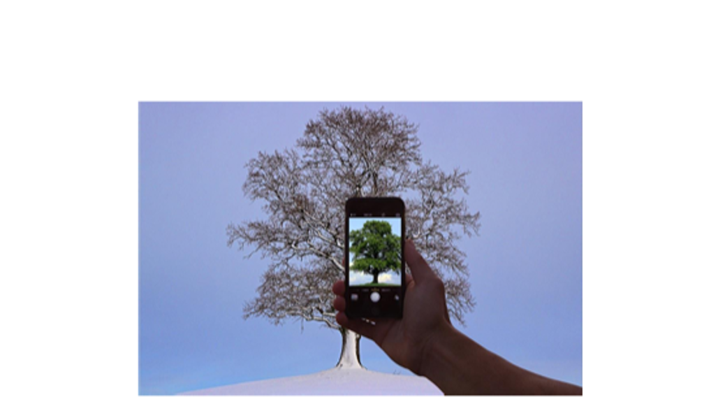 Framsida på rapporten Digital teknik för naturinformation och naturvägledning