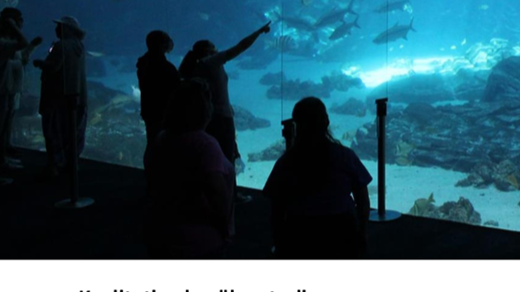 Framsida på skriften Kvalitativa besökarstudier