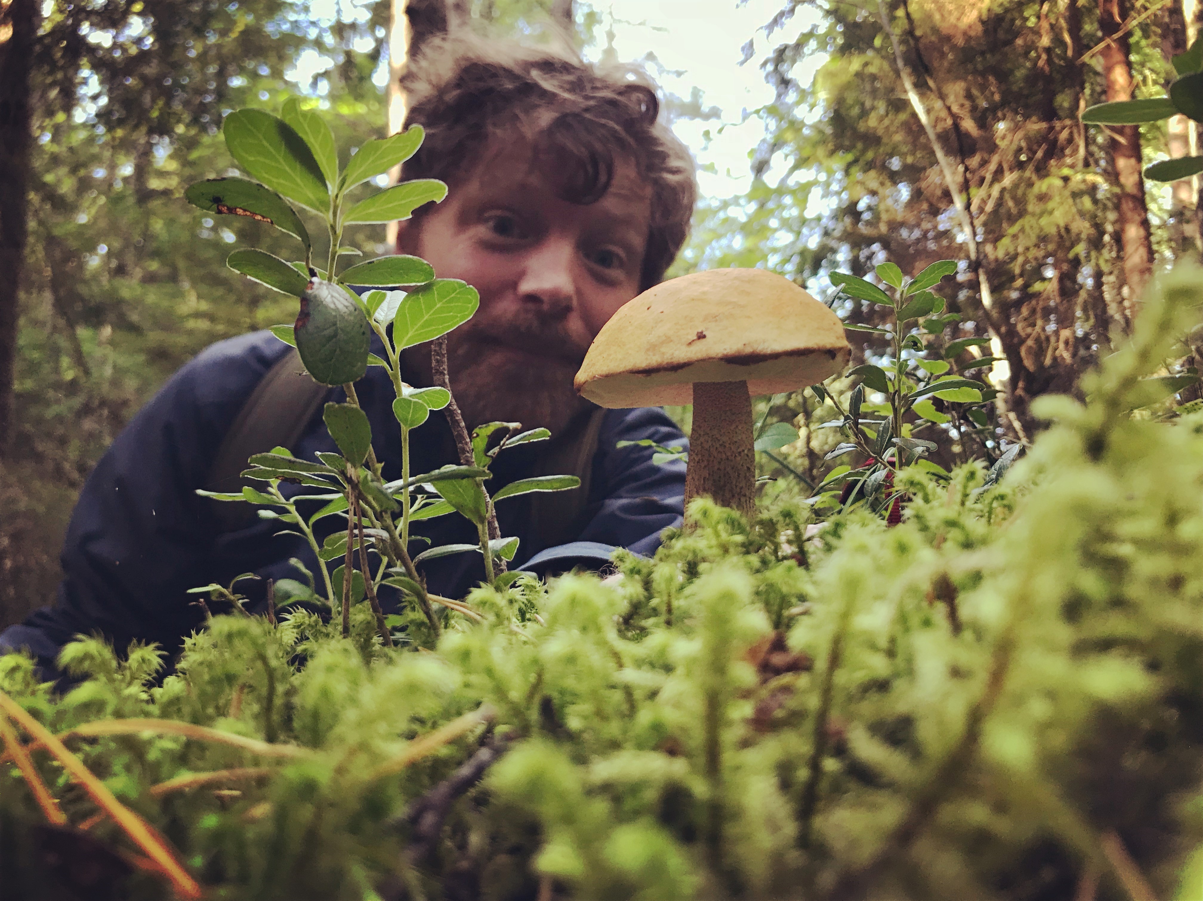 En man och en svamp