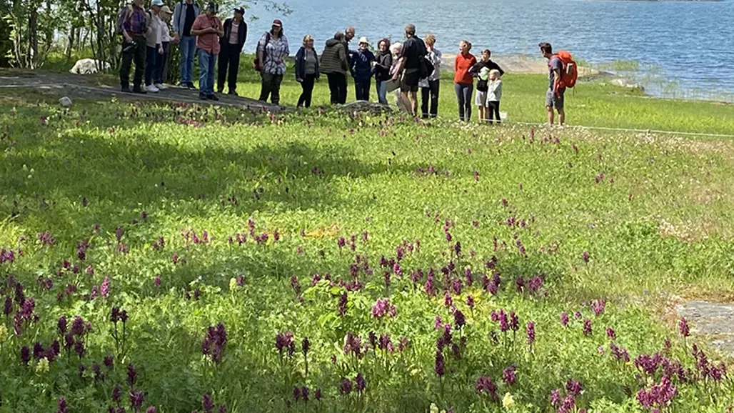 Ängsö nationalpark
