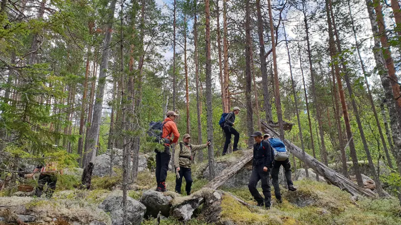 Fem personer står i skogen där det finns gamla granar och stora stenblock