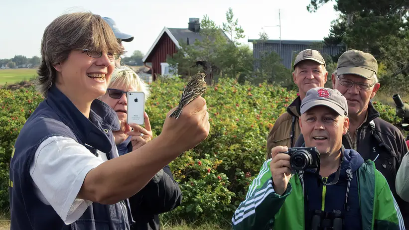 En guide håller en rödstrupig piplärka i handen och visar upp den för en grupp.