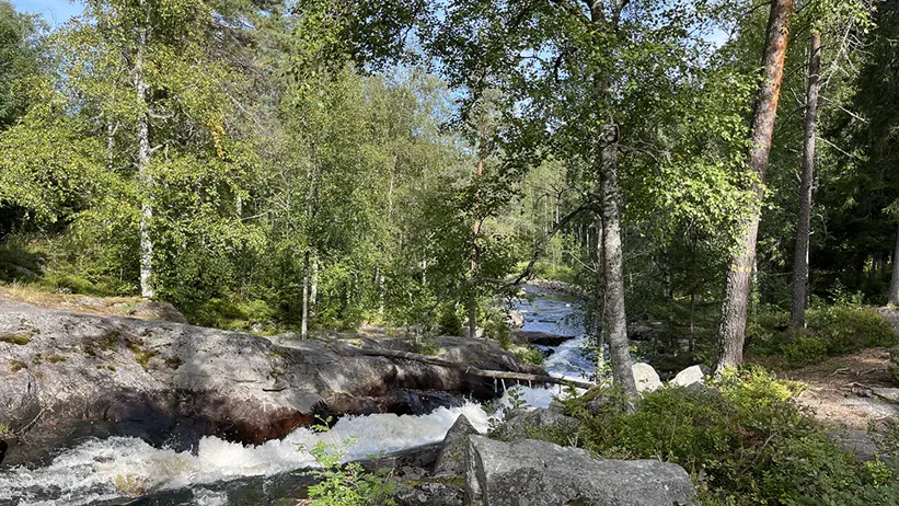 Skräddartorpsfallet Smedjebacken