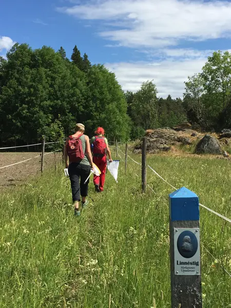 Två personer som går Vaksalavandringen