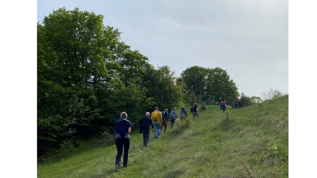 Framsida på rapport om naturvägledning på pilgrimsleder
