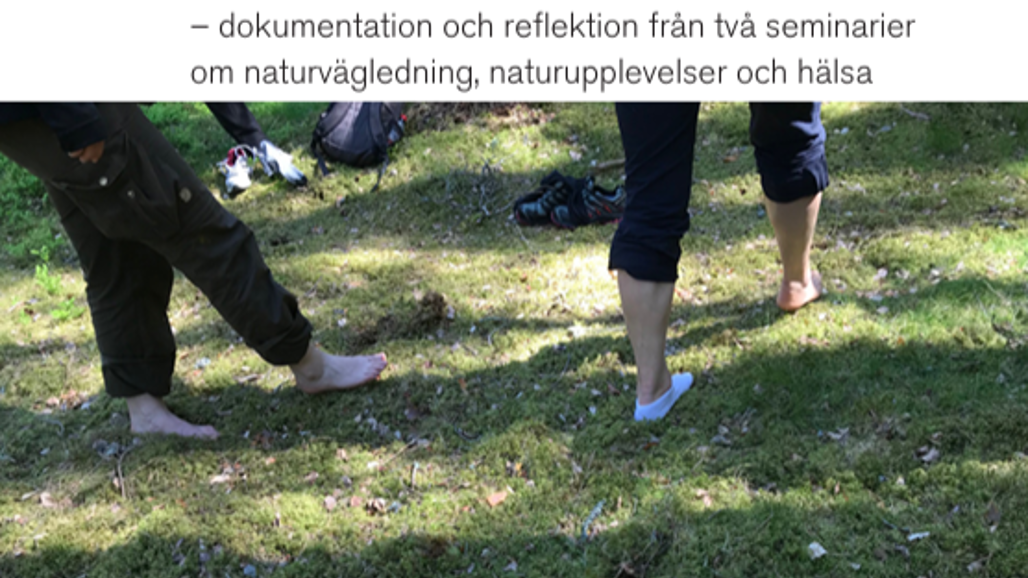 Framsida på rapporten Så mycket upplevelse med så enkla medel