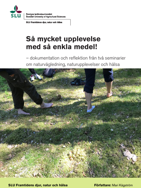 Framsida på rapporten Så mycket upplevelse med så enkla medel