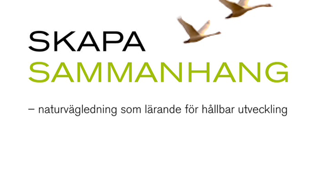 Framsida på boken Skapa sammanhang