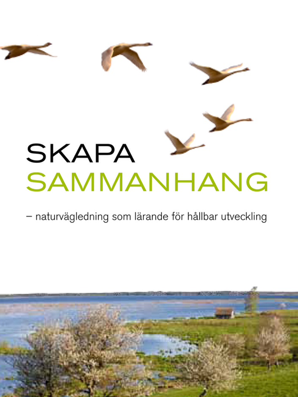 Framsida på boken Skapa sammanhang